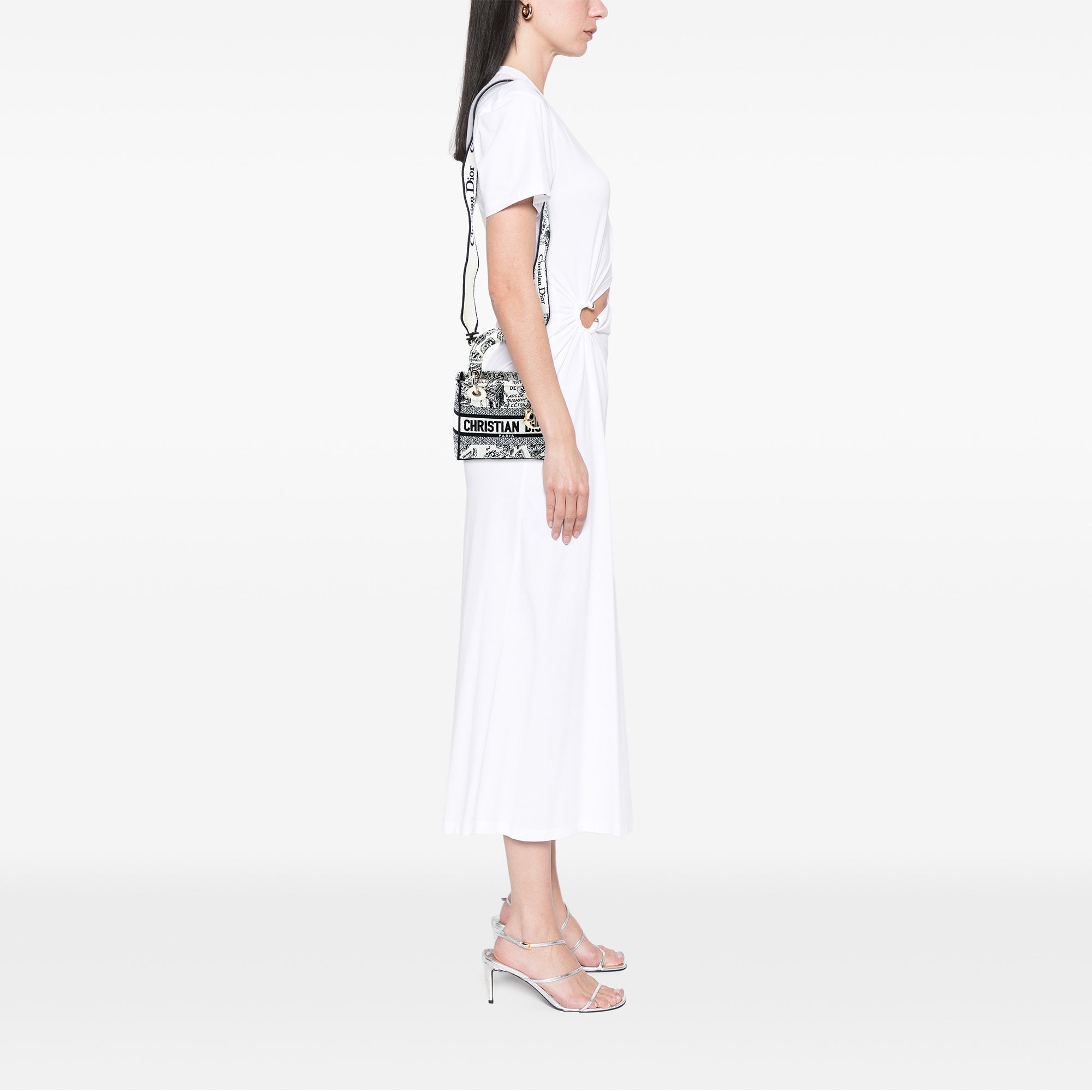 Dior Mini brodé Toile Plan de Paris Lady D Lite