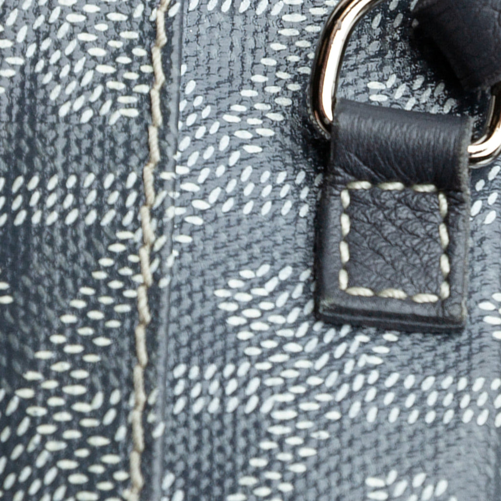 Goyard Goyardine Saint Louis PM