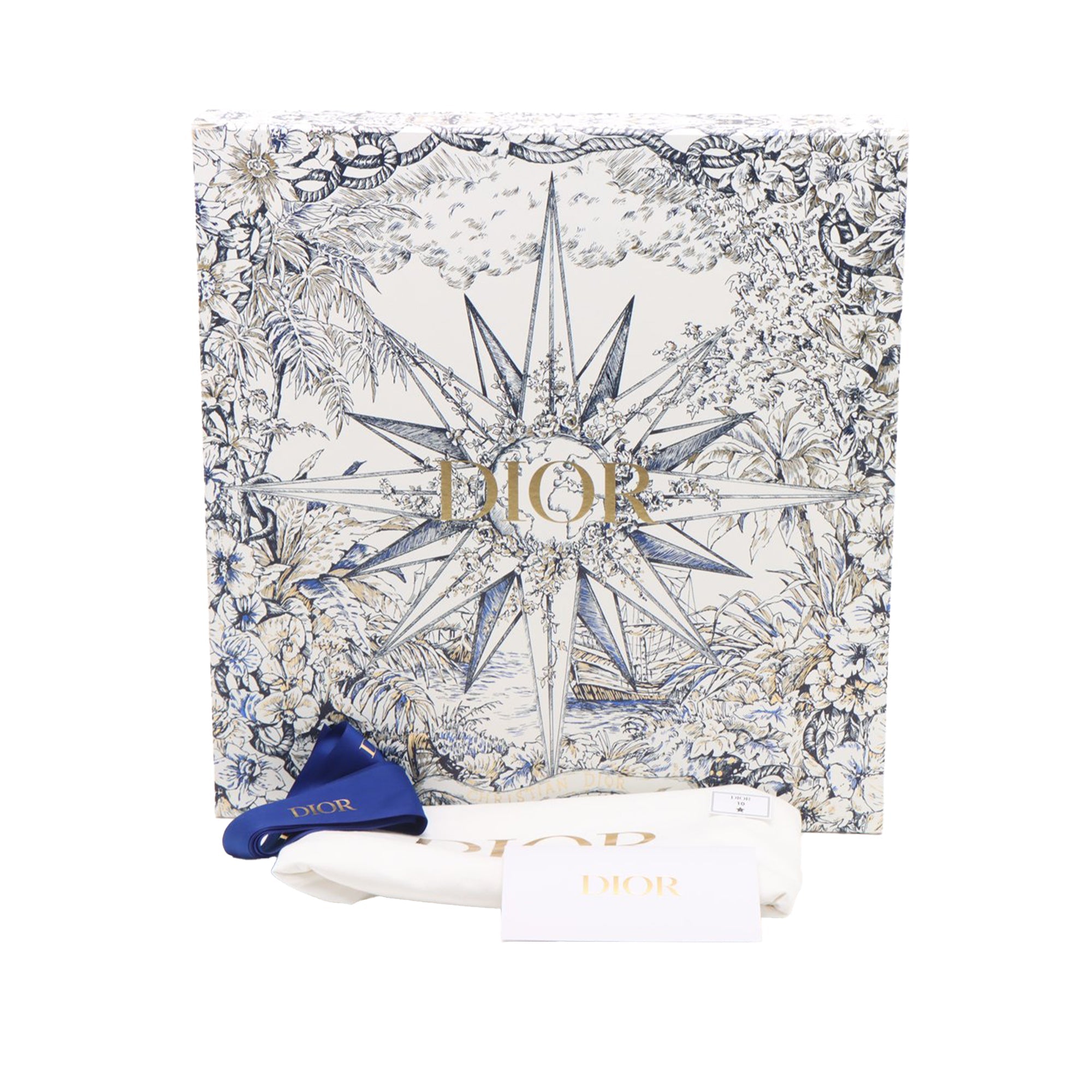 Dior Medium Oblique Toile Book Cabas