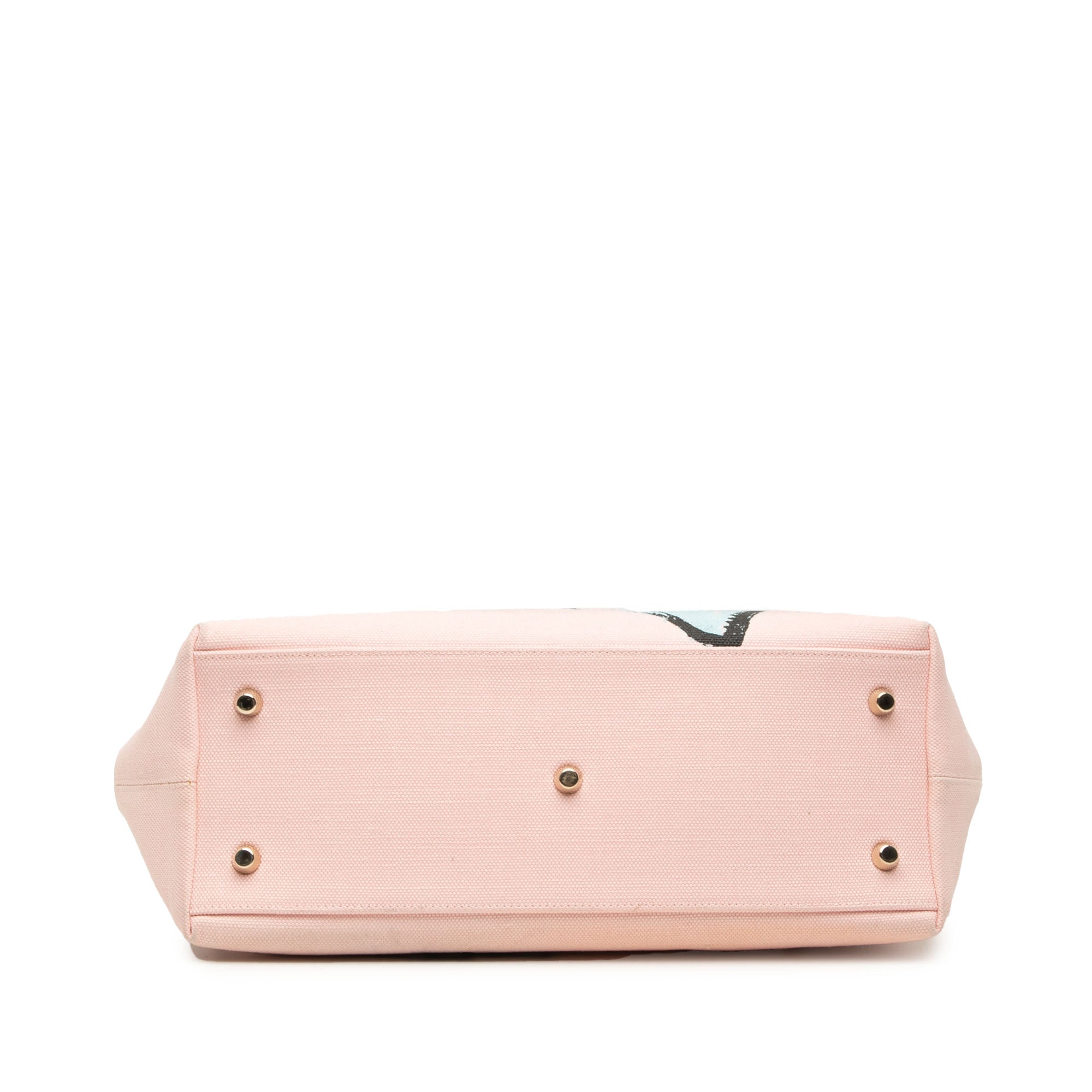 Dior Édition limitée Medium Toile Printed Diorissimo Sac