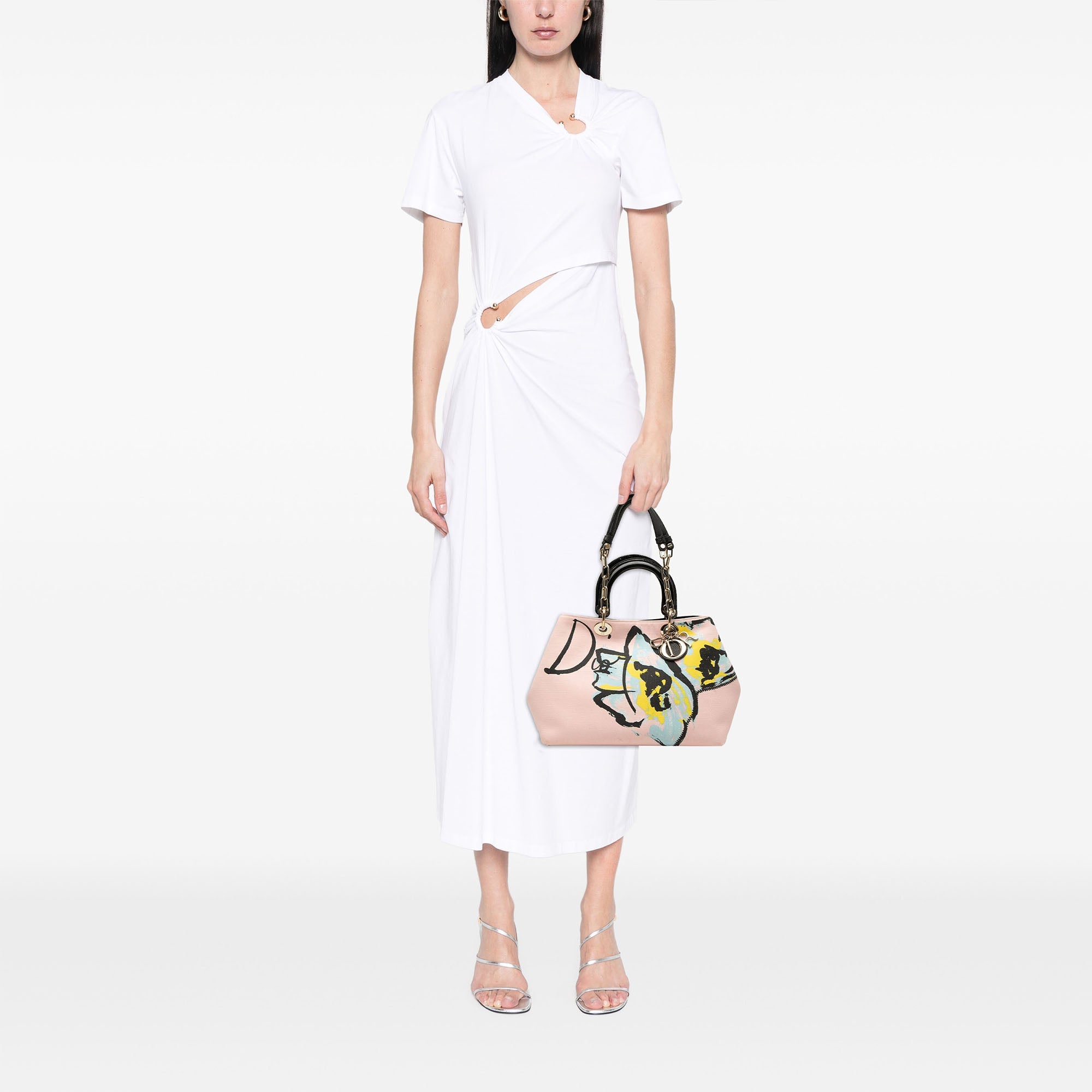 Dior Édition limitée Medium Toile Printed Diorissimo Sac