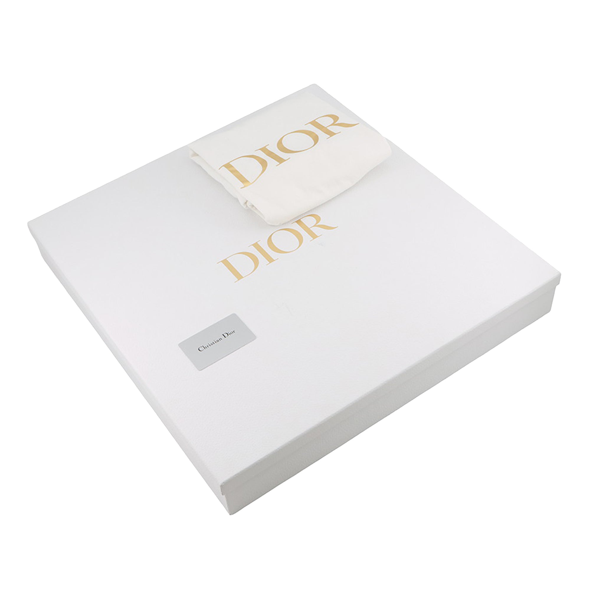 Dior Large Oblique brodé Toile Book Cabas