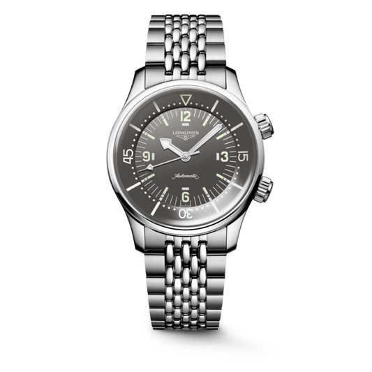 LEGEND DIVER 39 mm grey