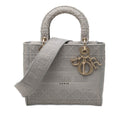 Dior Medium Toile Cannage Lady D Lite