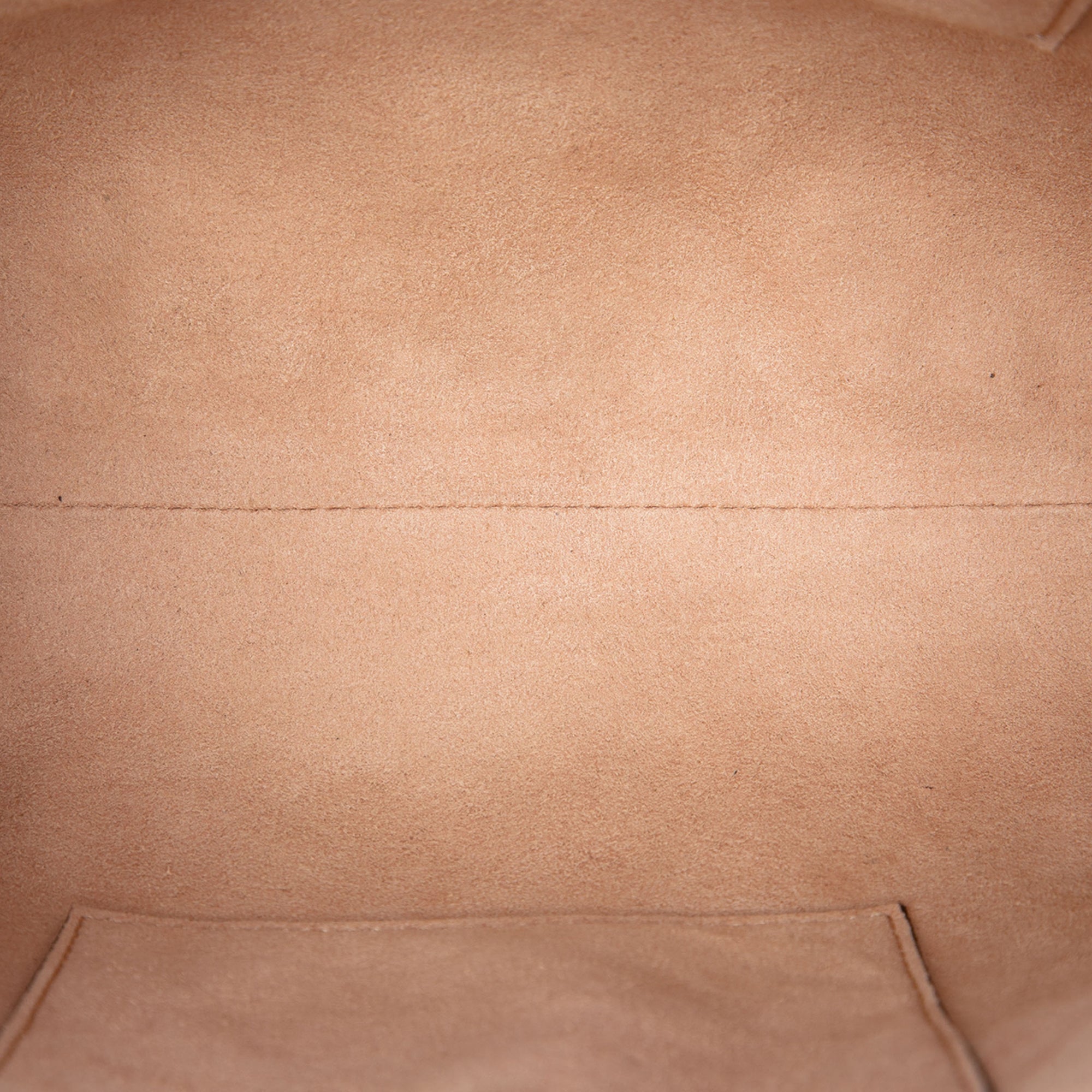 Gucci Small GG Supreme Ophidia Sac