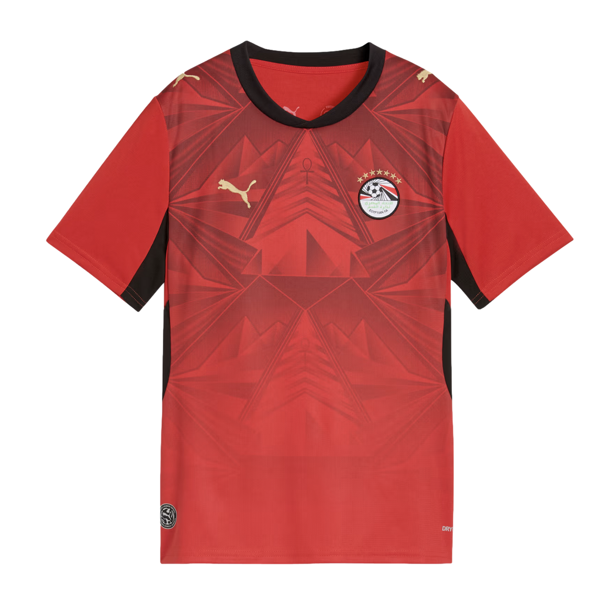 Puma Egypt 26 Kids' Home Stadium Jersey