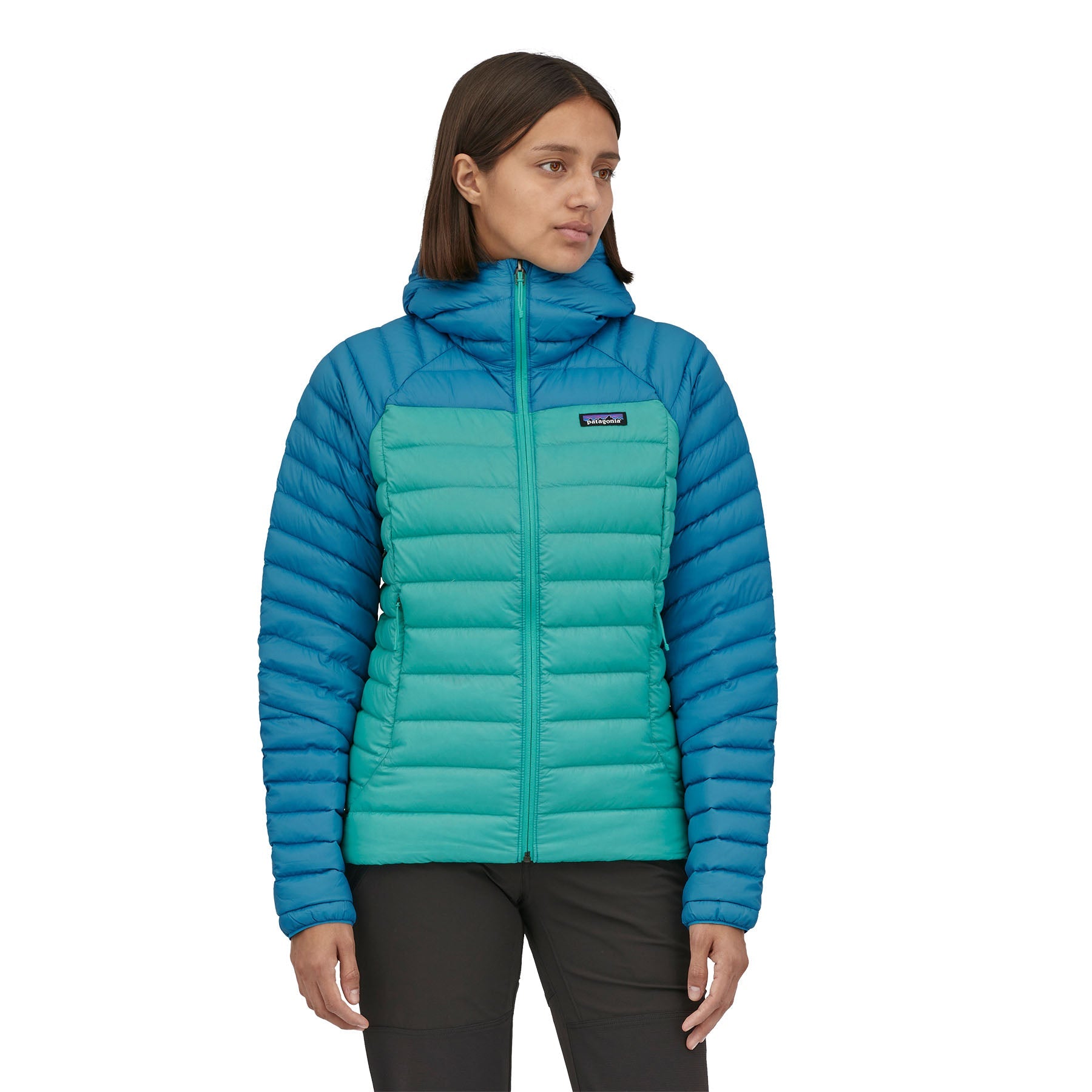 Patagonia W's Down Sweater Hoody - DQ