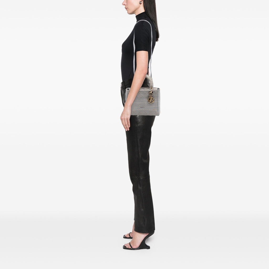 Dior Medium Toile Cannage Lady D Lite