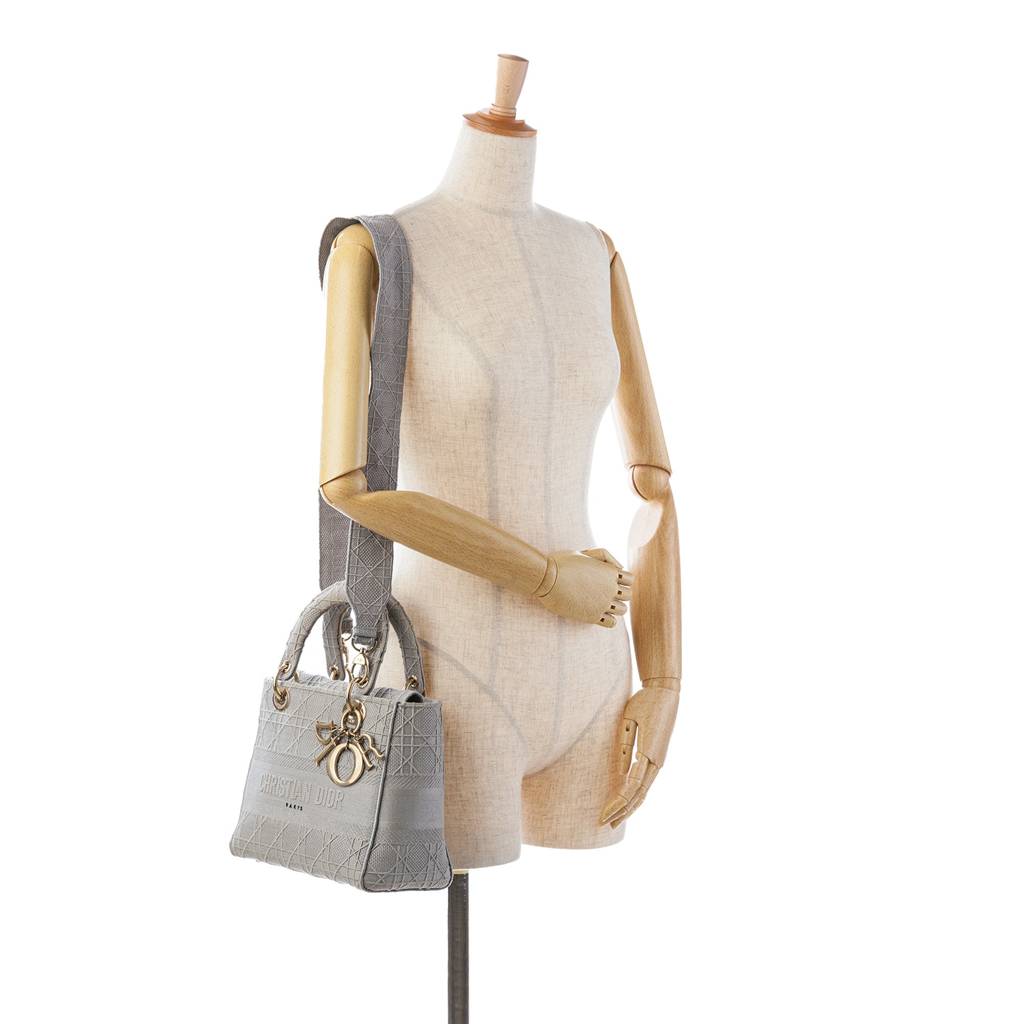 Dior Medium Toile Cannage Lady D Lite