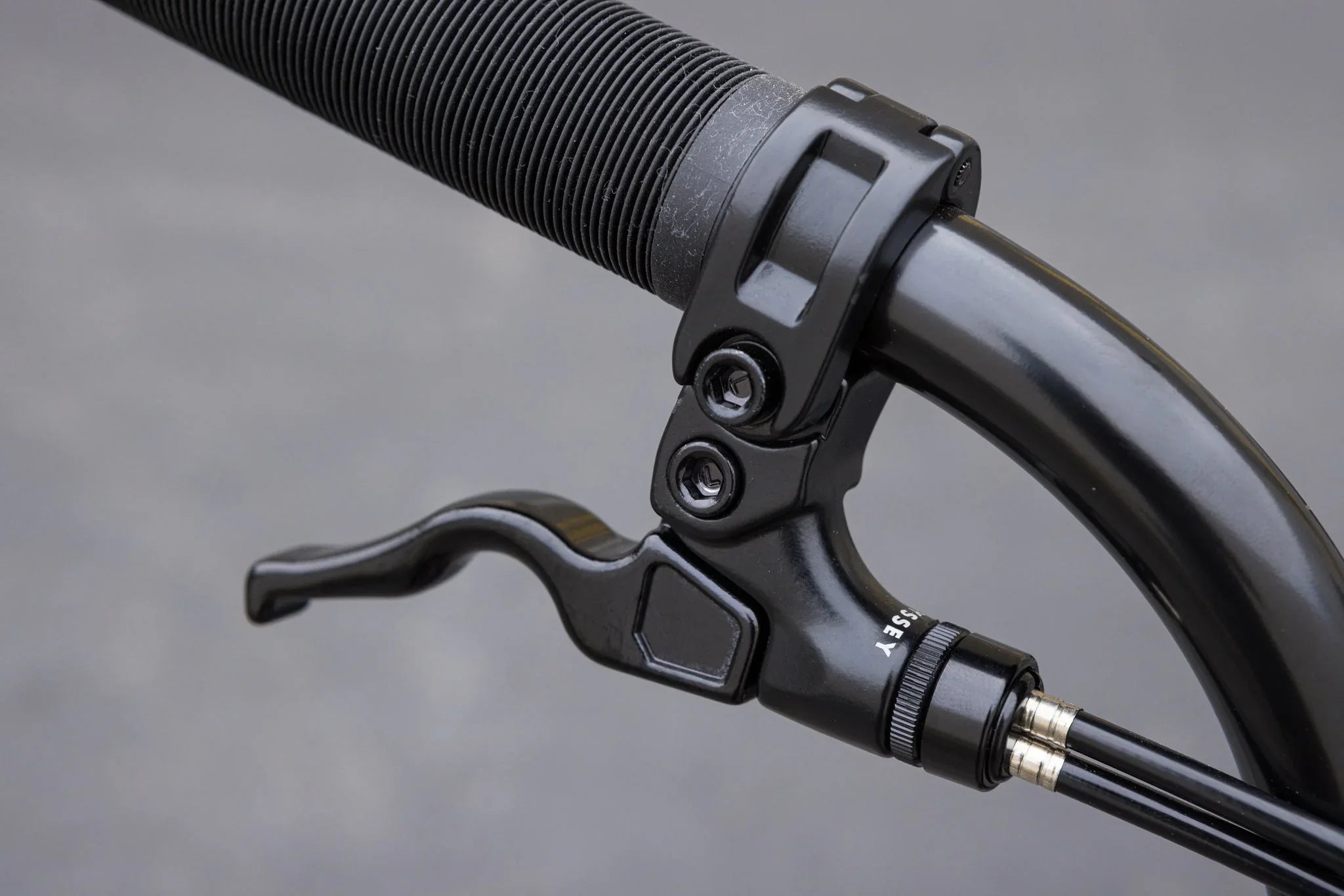 Sunday Forecaster Park Bike (Maca Perez Grasset Signature)